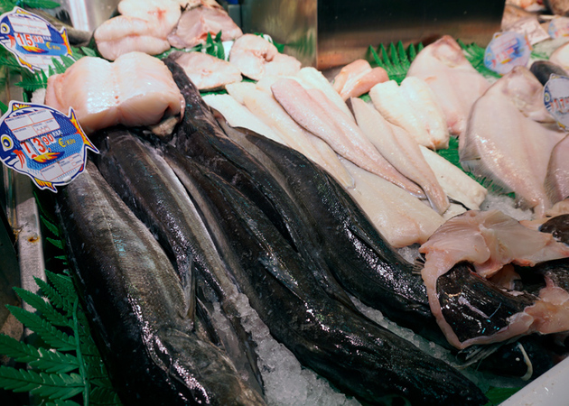 Galerie der Bilder Alfonso Vivancos Fisch 2